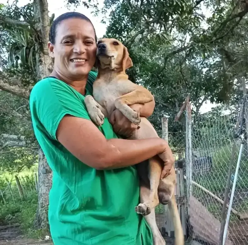 Rescued dogs at Save Dog Shelter