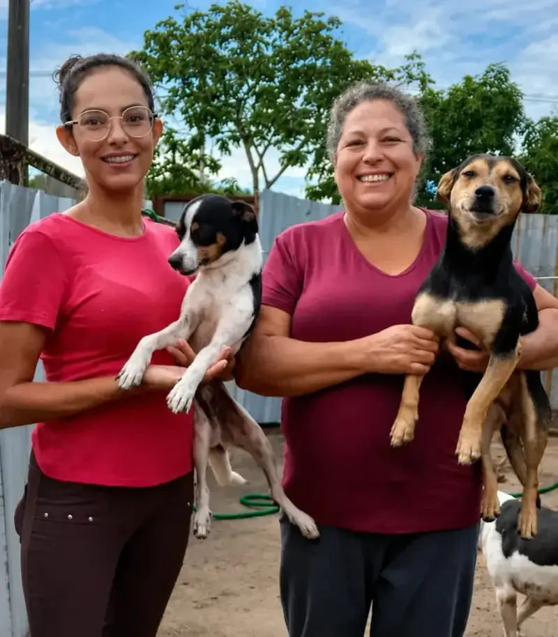 Rescued dogs and cats at Millie Home