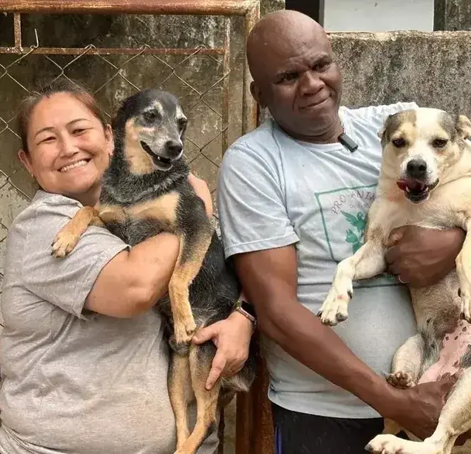 Rescued dogs at Susan Pet Rescue